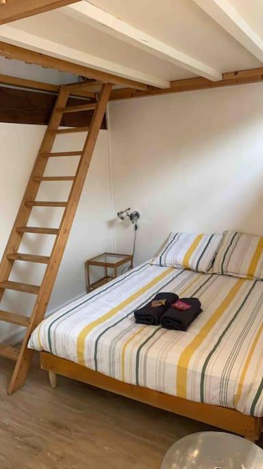 Le Saint-Lazare Appartement Au Calme Intra Muros 아비뇽 외부 사진